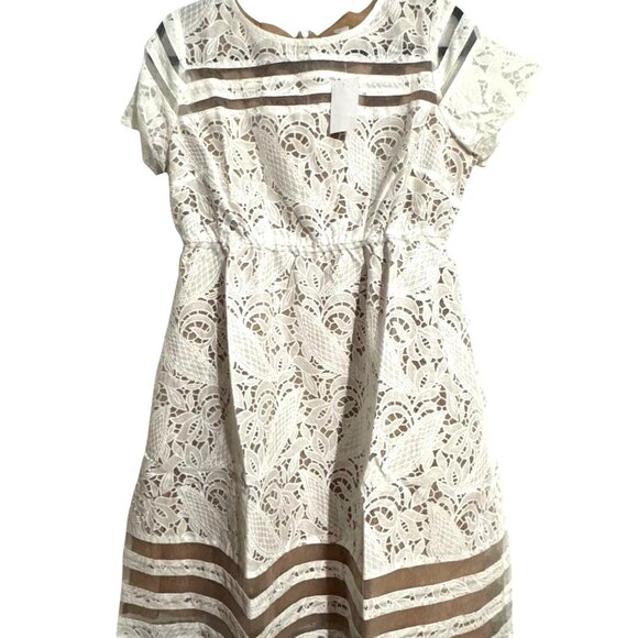 Motherhood Maternity White Lace Dress With Sheer Stripes & Short Sleeves L - Picture 2 of 12